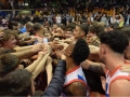 basket cantù torino