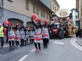 carnevale amici di fecchio