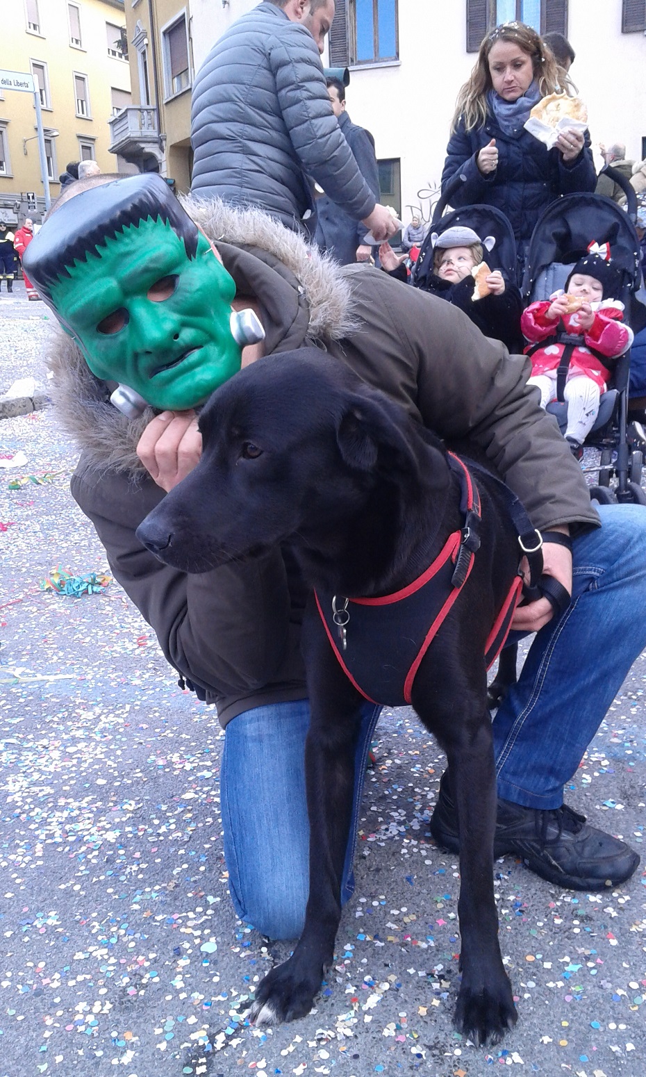 carnevale giusto 16