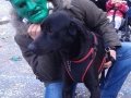 carnevale giusto 16