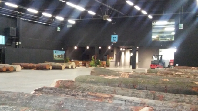 2017 forlener anteprima (11)