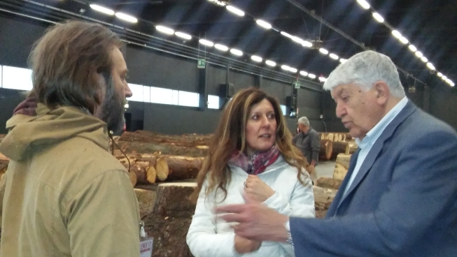 2017 forlener anteprima (12)