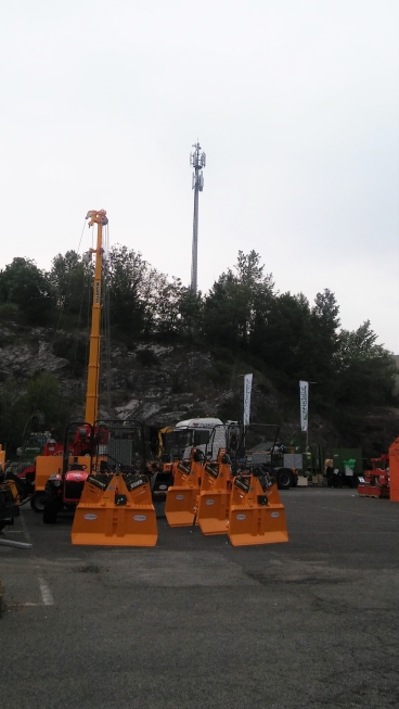 2017 forlener anteprima (4)