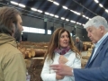 2017 forlener anteprima (12)