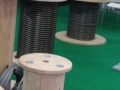 2017 forlener anteprima (25)