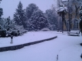 parco villa calvi.jpg1