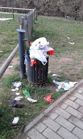 toto caimi deturpato.jpg5