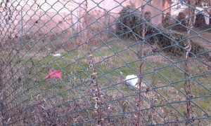SPAZZA VIGHI2