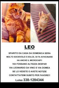 sparito leo
