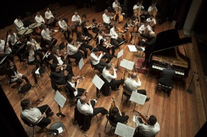 orchestra bacau