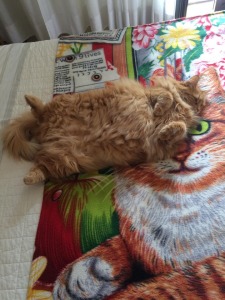 tootsie.jpg4