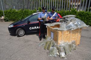carabinieri fino mornasco