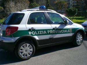 polizia provinciale