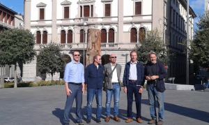 alberi in piazza