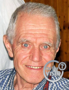enzo testori