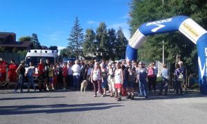 social run cantù