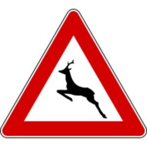 cartello_capriolo