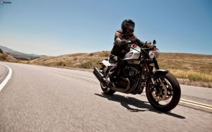 harley-davidson-xr1200x,-motociclista,-strada-192436 (1)