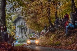 Alessandro Perico, Mauro Turati (Ford Fiesta WRC #9, Vs Corse)