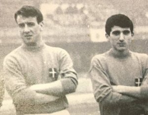 Ghelfi Meroni