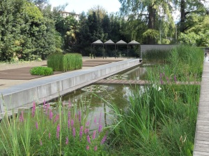 Piazza orto botanico -DOPO