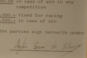 Senna7