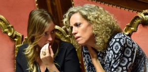 boschi cirinnà