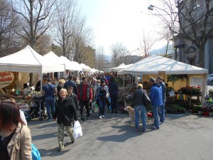 Como-fiera 1