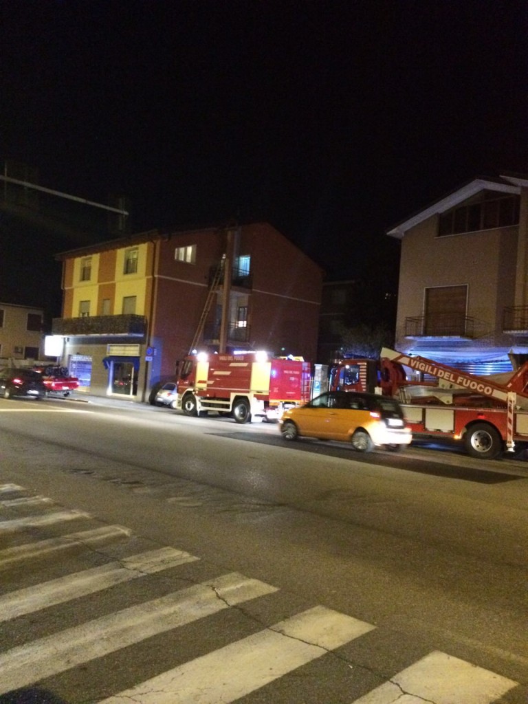 lurago bimbo (1)