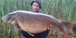 carpa pusiano 1