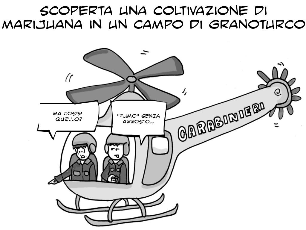vignetta-marijuana-cantu