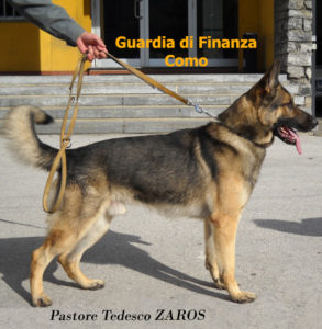 zaros
