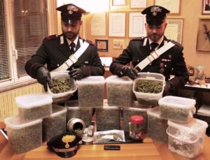 sequestro-marijuana-cantu